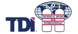 Logo van TDI Logo van TDI